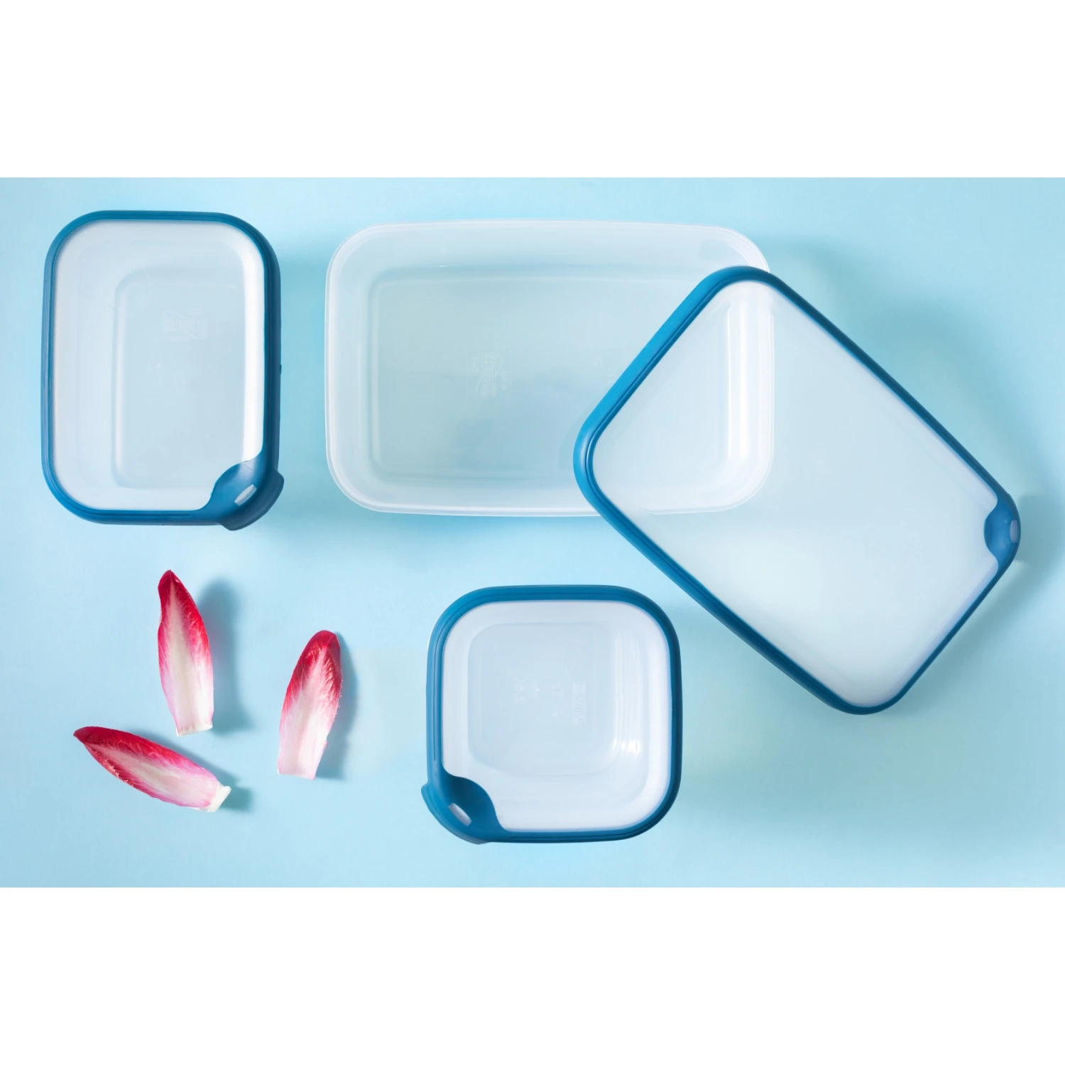 Curver Grand Chef Vershoudbak 2,6L Rechthoek 3 Curver Grand Chef Vershoudbak 2,6L Rechthoek - Afbeelding 3